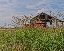 old barn in field