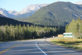 road in jasper national park
